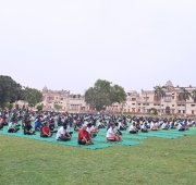 Yoga Day Celebrations