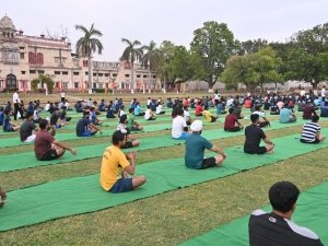 yoga-day-2024-7