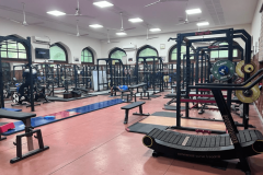 department-of-strength-_-conditioning_html_22860316954498c3