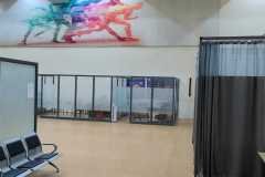 Physiotherapy-img-8